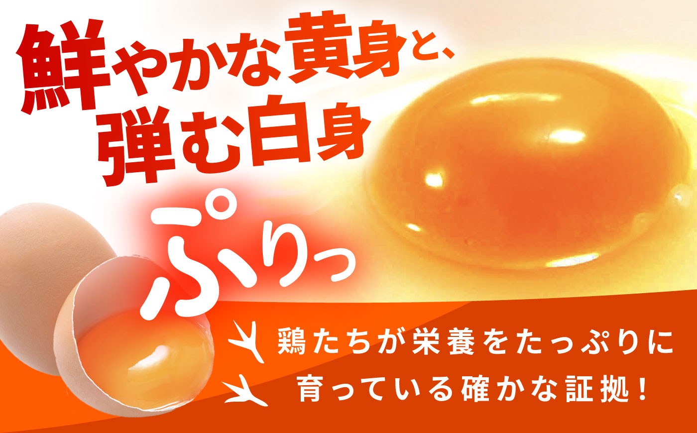卵 たまご タマゴ 卵定期便 たまご定期便 定期便 オムレツ 卵かけご飯 6ヶ月 6か月 6カ月 6ヵ月 6ケ月 180個