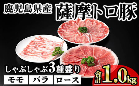 鹿児島県産 豚肉 薩摩 トロ豚 しゃぶしゃぶ 3種盛り 小分け (合計1.0kg)【KNOT】 A703