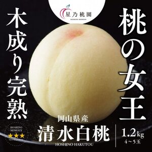 【清水白桃】岡山県産 三つ星 星乃桃園 1.2kg (4～5玉)【配送不可地域：離島】【1614283】