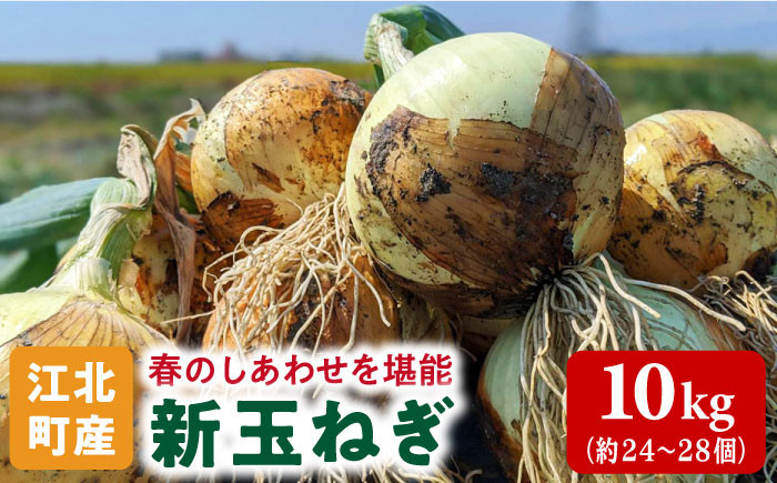 
            【先行予約】【こうふく玉でハッピーをお届け】佐賀県江北町産 新玉ねぎ 10kg【こうふく農園】[HBA002] 玉ねぎ たまねぎ 野菜 佐賀県産玉ねぎ 早生 産地直送 たまねぎ 
          