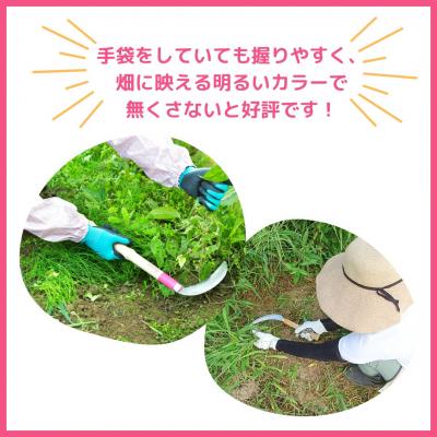 ふるさと納税 三条市 [Lacuno] 小鎌120mm+ステン鋸鎌(オレンジ)セット ラクーノ 農業女子【011S299】 |  | 03