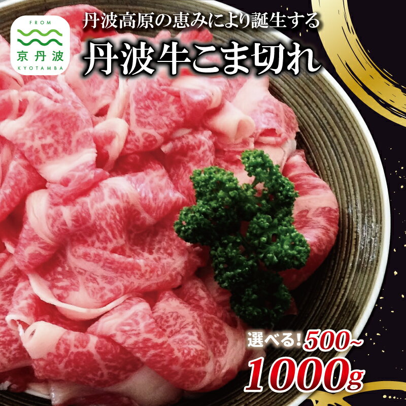 【ふるさと納税】 丹波牛 こま切れ 500g 1000g 選べる 数量 【 国産牛 切り落とし 便利 牛コマ 牛細切れ 小間切れ 】 ※北海道・沖縄・その他離島は配送不可