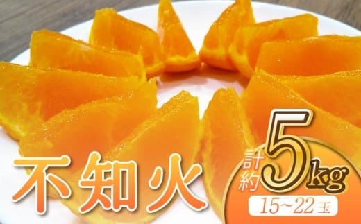 
            先行予約 不知火 約5kg（15～22玉） 【2026年3月上旬〜4月下旬発送予定】 しらぬい 柑橘類 みかん ミカン 蜜柑 果物 フルーツ 宇城市産 熊本県産 九州産 ひがし果樹園
          