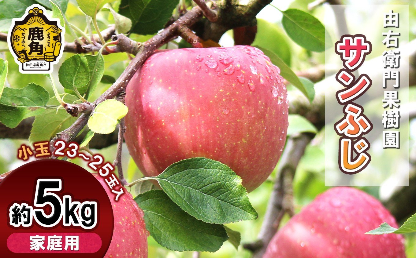 
            由右衛門果樹園 りんご 家庭用「サンふじ」小玉 約5kg ( 23～25玉 )【由右衛門果樹園】●2026年1月上旬発送開始 りんご リンゴ 訳あり 完熟 旬 県産りんご お中元 お歳暮 グルメ ギフト 故郷 秋田 あきた 鹿角市 鹿角 送料無料
          