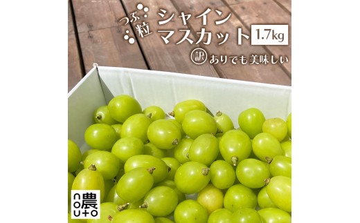 【2026年発送★先行予約】 訳あり シャインマスカット 粒 約1.7kg 154-061-26y  ※クール便 | 不揃い ご自宅用 ご家庭用 フルーツ 果物 高評価 人気 ランキング おすすめ 甘い 美味しい デザート 数量限定 送料無料 山梨県産 笛吹市 ぶどう 「販売」 KEIPE株式会社		
