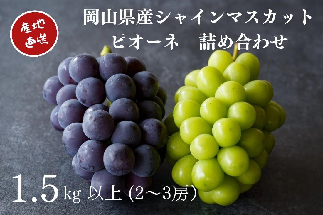 厳選 シャインマスカット・ニューピオーネ 2～3房 合計1.5kg以上 詰合せ 産地直送 朝採れ ぶどう 葡萄 Kawahara Green Farm 岡山県産 2026年