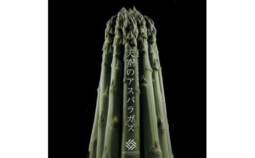 【先行予約】天空のアスパラガス 「Premium」約 1ｋｇ 【２０２７年４～５月頃発送】