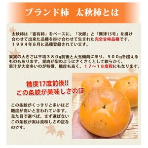 太秋柿 秀品3kg【2025年10月下旬-11月下旬発送予定】(益城町)【1650965】