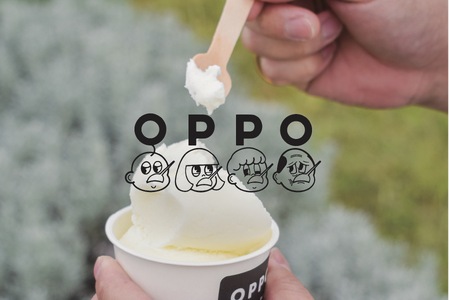 【数量限定】 アイスクリーム 90ml×9カップ アイス スイーツ ミルクアイス ラクトアイス クリーム ミルク ラクト いちじく フルーツ チーズ エスプレッソ コーヒー おやつ お菓子 デザート 