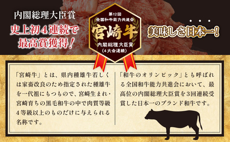 【数量限定】宮崎牛ヒレサイコロステーキ(計250g) 肉 牛 牛肉 ステーキ 国産_T041-013