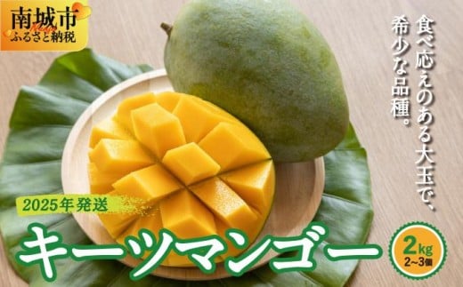 
            【2025年発送】キーツマンゴー2kg（2個～3個）
          