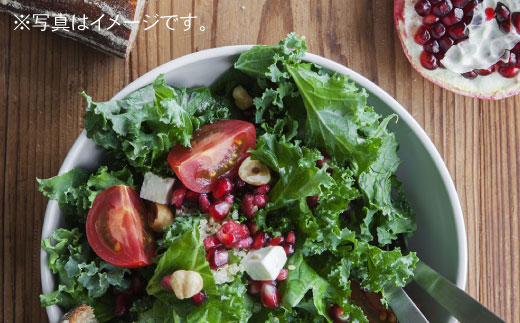 【波佐見ブランド/Common】ボウル 12cm イエロー 5個セット【東京西海】 [DD122]