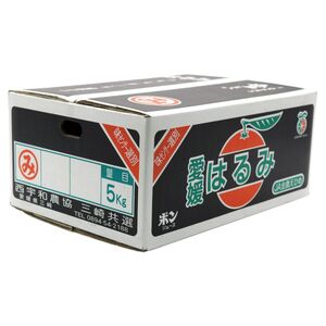 【先行予約】【数量限定】はるみ（生果5kg）※離島への配送不可（2026年1月下旬より順次発送予定） IKTBD009