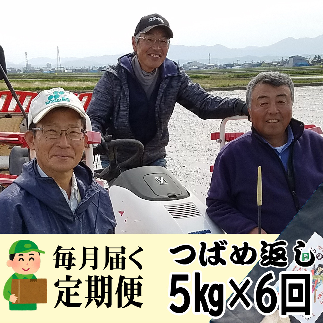 
            【令和7年産米予約受付中】おかずのいらないコシヒカリ「つばめ返し5kg」白米6か月定期便(月イチで計6回) FC090009
          