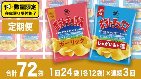 【 湖池屋 3ヶ月 定期便 】湖池屋 ポテトチップス 2種類アソート （じゃがいもと塩・ガーリック）（各12袋・計24袋 ×３回） ポテチ お菓子 おかし 大量 スナック おつまみ ジャガイモ