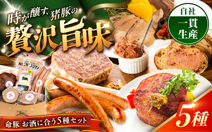 『お酒に合うセット』 豚肉 ポークステーキ ソーセージ レバーパテ レバーペースト スモークレバー 詰め合わせ お取り寄せ 国産 ギフト 冷凍 沖縄市 / DELICATESSEN NUCHIBUTA [BCAR009]