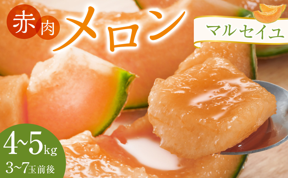 782.赤肉メロン「マルセイユ」※着日指定不可　※5月20日～6月30日頃に順次発送予定 313726_AN117