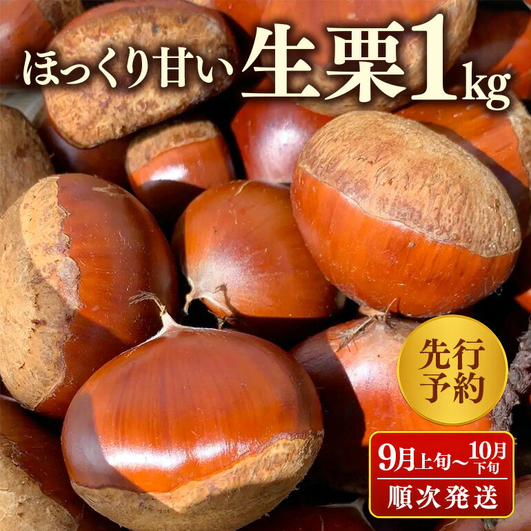 【ふるさと納税】【 2026年 先行予約 】 生栗 1kg くり 栗 有機 肥料 栽培 国産 果物 くだもの 和栗 フルーツ 1キロ 9月 発送 秋 旬 品種 茨城県産 産地直送 産直 農家直送 冷蔵 茨城県 石岡市