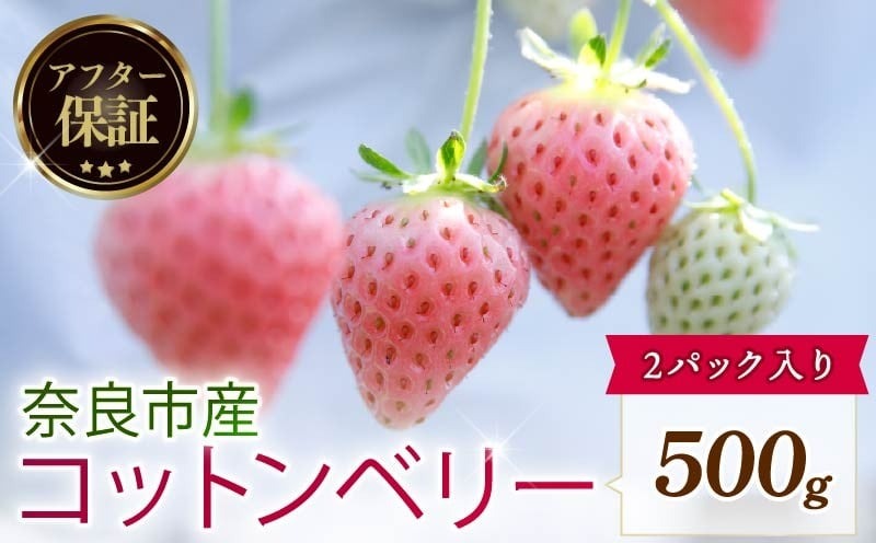 【数量限定】 2026年発送 苺 いちご コットンベリー 2パック 約500g (250g×2P) ゆりかーご 冷蔵 小分け 果物 スイーツ デザート くだもの フルーツ ベリー ふるさと納税 いちご 大粒 採れたて 完熟 おやつ 産地直送 先行予約 数量限定 季節限定 ブランド イチゴ 中村農園 奈良県 奈良市