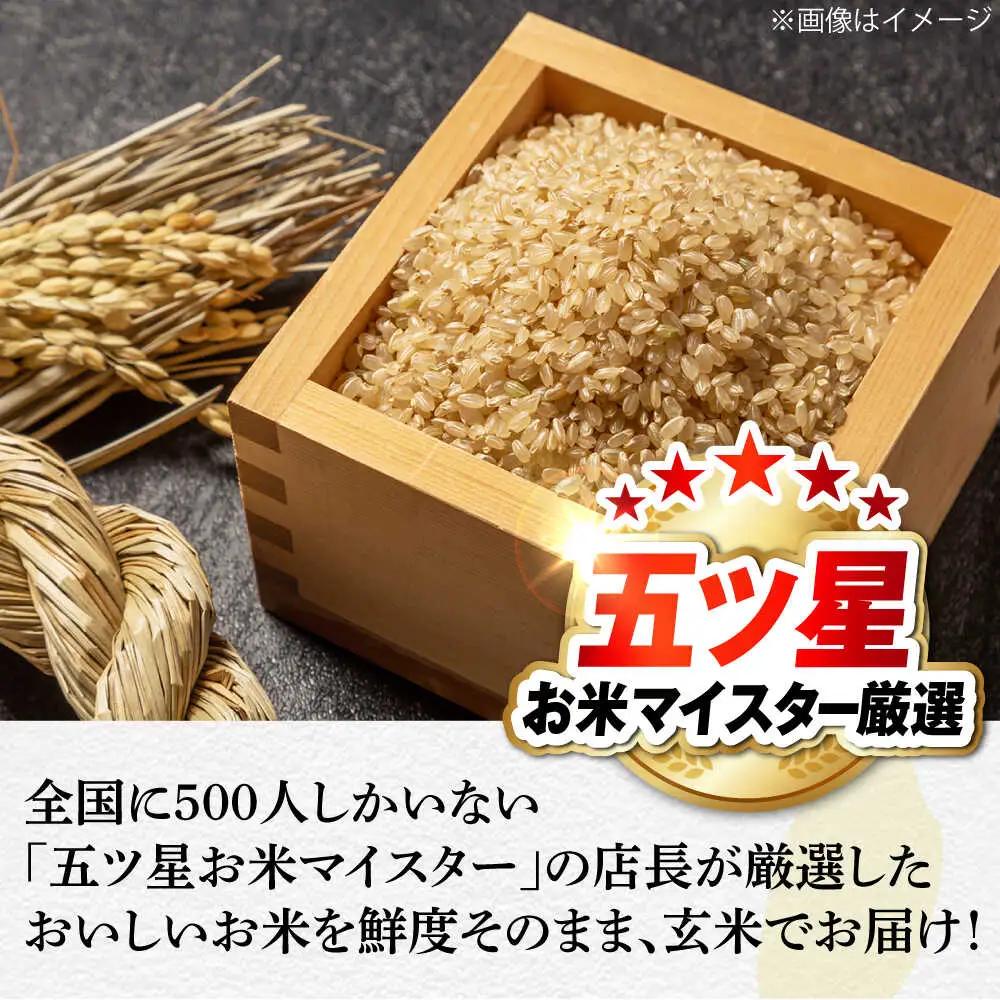 米 五ツ星お米マイスター厳選【玄米】エコ栽培米 恵の上意東産「コシヒカリ」10kg 島根県松江市/株式会社沼田米穀店[ALBU002] 米 米