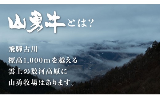 飛騨の牧場で育った熟成飛騨牛『山勇牛』特製 タレ漬け スライス 700g 専門店の逸品 A4・A5ランク飛騨牛
