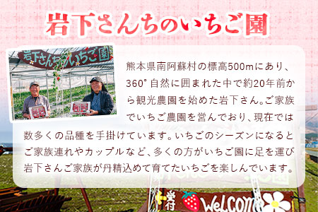 南阿蘇岩下さんちのいちご園 オリジナルミルフィーユアイス 90ml×12個 《60日以内に出荷予定(土日祝除く)》 熊本県南阿蘇村 苺 イチゴ