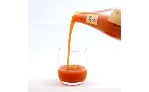 トマトジュース ケチャップ の セット 井出トマト農園 神奈川 湘南 藤沢