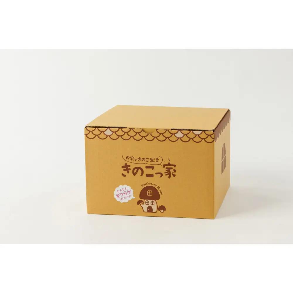 おうちで楽しむ栽培キット「きのこっ家」　きくらげ　