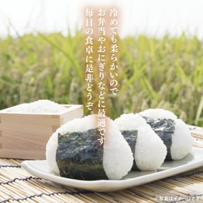 ふるさと納税 大子町 立神米ゆうだい21(白米)5kg 令和7年産 新米【谷田部農産】産地直送 |  | 01