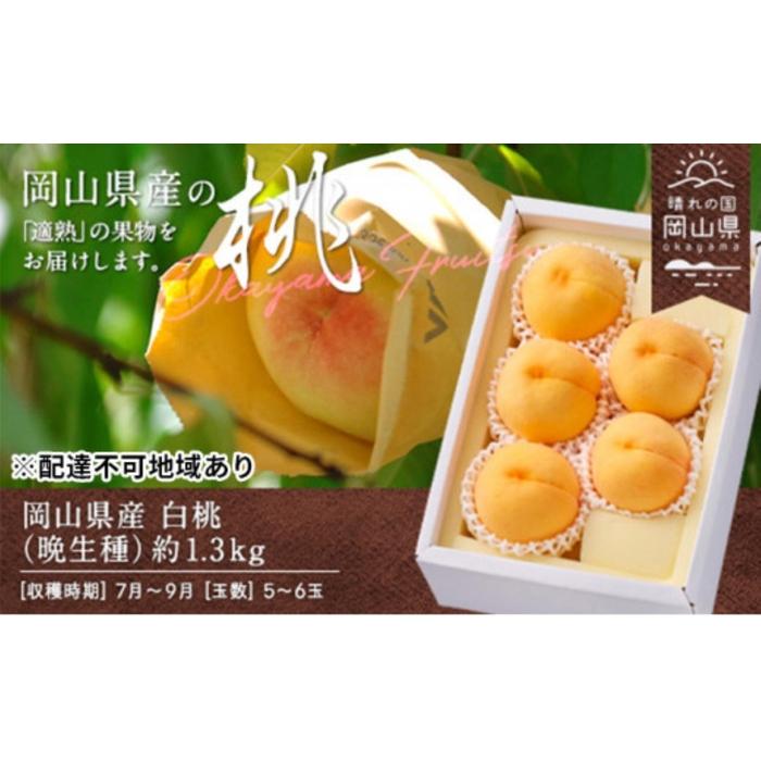 【ふるさと納税】桃 2026年 岡山県産 白桃（晩生種） 約1.3kg 5～6玉（クール便） | フルーツ 果物 くだもの 食品 人気 おすすめ 送料無料