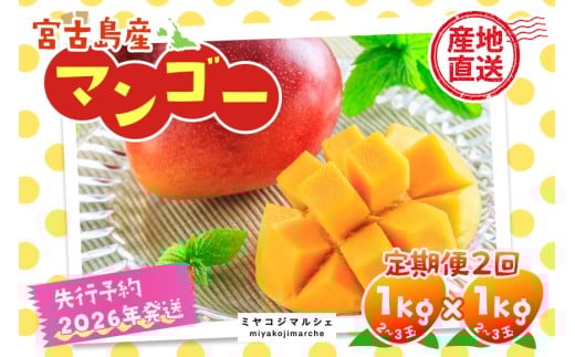 
            JH003《先行予約 2026年発送》宮古島産マンゴー（1kg×定期便2回）【（株）フラモン】
          