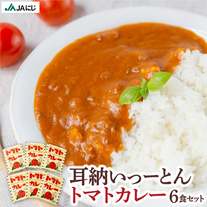 【ふるさと納税】JAにじ 耳納いっーとんトマトカレー 6食セット レトルトカレー・オリジナルカレー・ポークカレー レトルト 常温 送料無料 福岡県 うきは市
