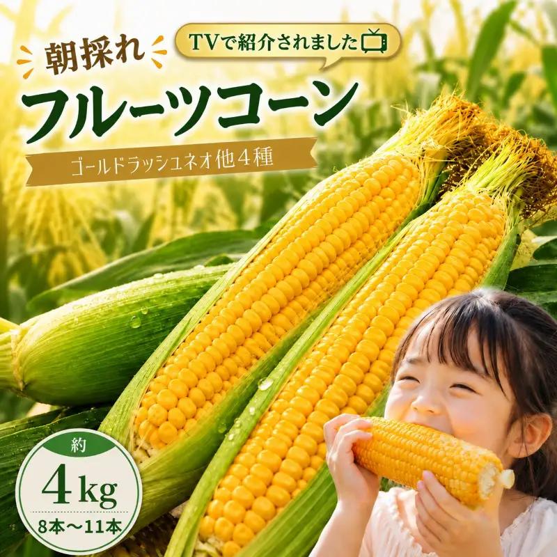 【2027年先行予約】 【とうもろこし】 南国フルーツコーン 艶きび 10本 とうもろこし