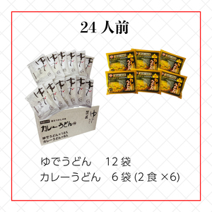 さぬきうどん ＆ カレーうどん セット 24人前 出汁 スープ付き