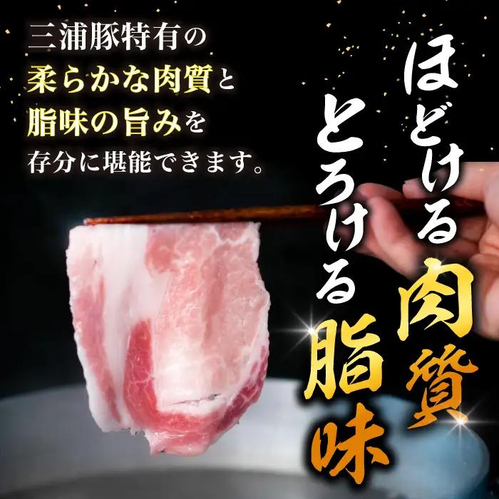 三浦豚 豚肉 ロース900ｇ（しゃぶしゃぶ用） / 恵那市 / あづま精肉店 [AUDL004]