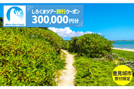 【豊見城市】しろくまツアーで利用可能なWEB旅行クーポン(300,000円分)（CV017）