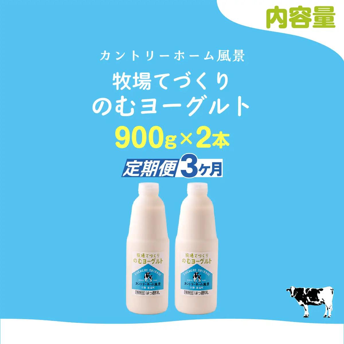【定期3ヶ月】のむヨーグルト 900g ×2 SKB032