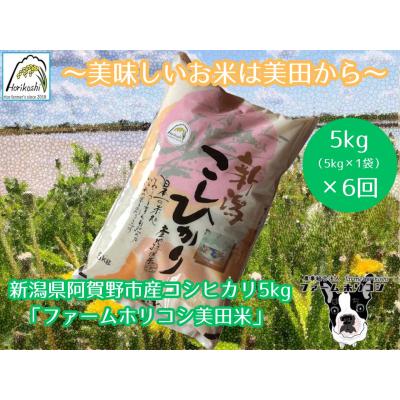 ふるさと納税 阿賀野市 【令和7年産】【6ヶ月定期便】コシヒカリ「ファームホリコシ美田米」 5kg×6回