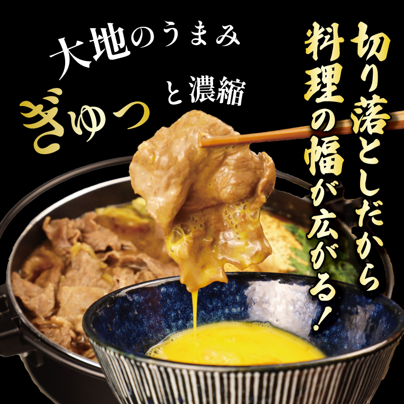 【切り落とし】牛肉 500g 霜降り 新発田牛 ブランド しゃぶしゃぶ 小分け 小間切れ スライス 簡単調理 贈答 お歳暮 新潟 えのもとミート enomoto001