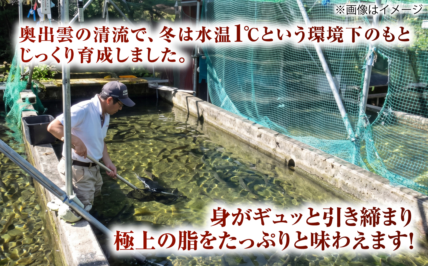 奥出雲サーモンの冷薫スモーク 100g×4パック | サーモン 冷薫スモーク 加工品　海鮮　国産 島根県雲南市/結システム [AIEW006]