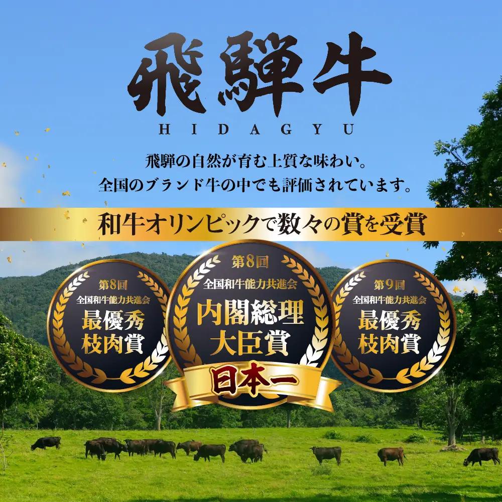 【ふるなび限定】牛肉 飛騨牛 切り落とし 500g 牛肉 FN-Limited-SP