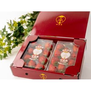 【産直】完熟よつぼし『四重奏』　愛知県みよし市　4パック(約1kg)【配送不可地域：離島・北海道・沖縄県】【1369815】