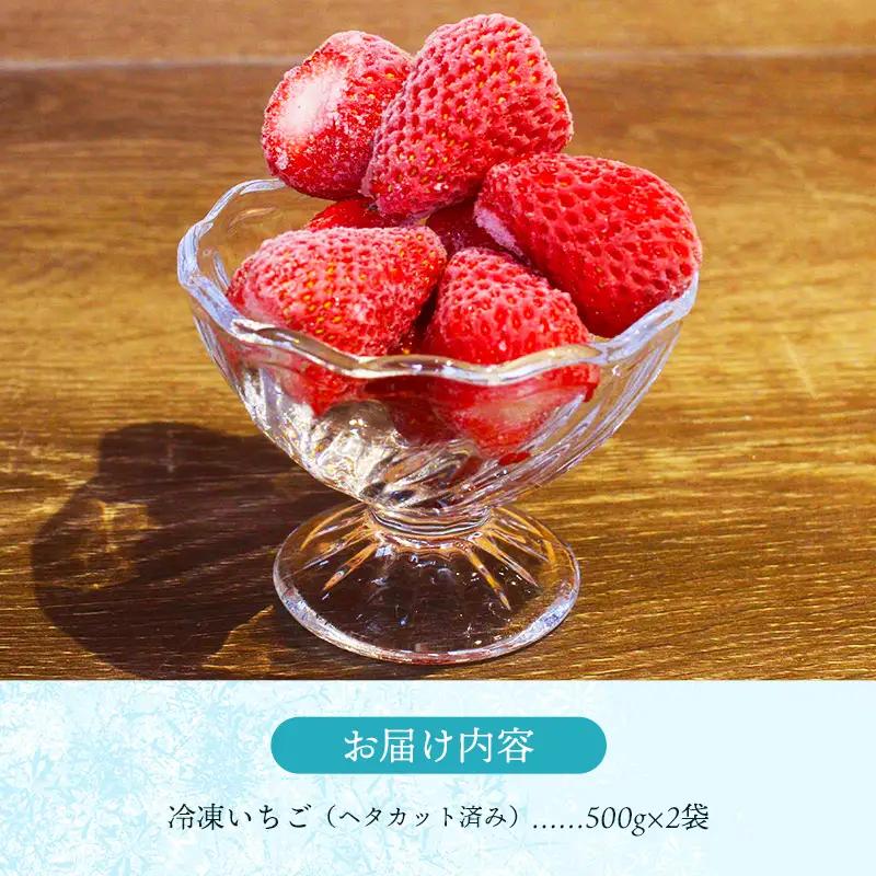 冷凍いちご （ヘタカット済み 500gの小分け袋 x 2個入り）【果物 フルーツ 紅ほっぺ あきひめ】