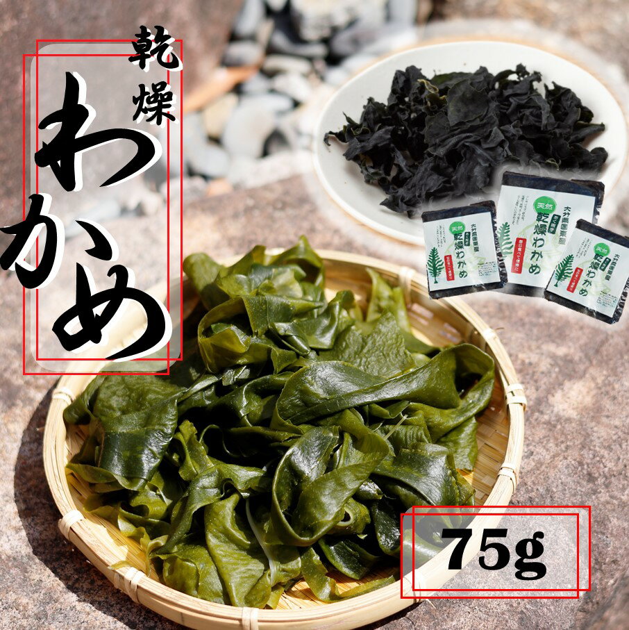 【ふるさと納税】ミネラル豊富な海の野菜！乾燥わかめ 75g (18g×3P / 7g×3P) 国産 国東 国東半島 大分 海藻 酢の物 サラダ 味噌汁 食物繊維 ミネラル