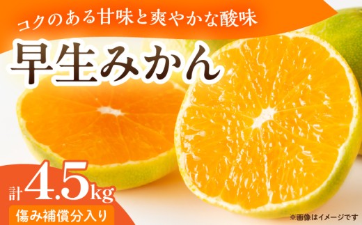 先行予約 早生みかん 計4.5kg 傷み補償分入り フルーツ 果物 くだもの 柑橘 ミカン 蜜柑 2S ～ L サイズ混合 国産 食品 おやつ デザート 甘味 酸味 バランス 甘酸っぱい みかんジュース おすすめ 旬 お取り寄せ おすそ分け 産地直送 宮崎県 日南市 送料無料_CV32-26