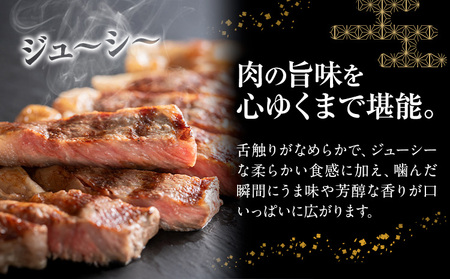 常陸牛黒毛和牛サーロインステーキ600g有限会社加治 肉のカジ《30日以内に出荷予定(土日祝除く) 》国産牛茨城県産【配送不可地域あり】（沖縄・離島）【茨城県共通返礼品】
