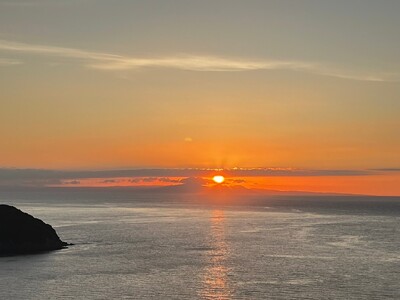 【先行予約】【訳あり】伊予柑 約10kg | 柑橘 みかん 果物 フルーツ 愛媛県産 農家直送　※離島への配送不可　※2026年1月中旬から順次発送予定  IKTAU002