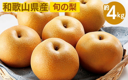 ◆先行予約◆和歌山県産 旬の梨 約4kg ｜梨 梨 梨 梨 梨 梨 梨※2025年8月中旬～9月中旬頃に順次発送予定 ※離島への配送不可
