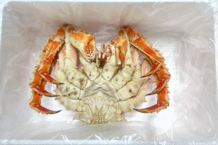[12月21日決済分まで年内配送]【北海道根室産】(チルド便)本タラバガニ900g前後×1尾 D-57050