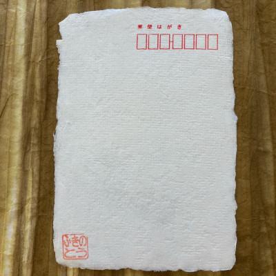 ふるさと納税 南部町 【障がい福祉事業のために】手すきはがき　白無地　30枚セット |  | 01